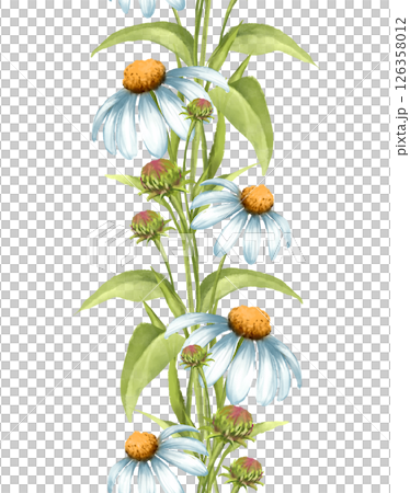 White Daisies Vertical Seamless Border Pattern 126358012