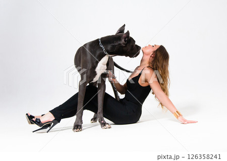 Portrait of beautiful slender model dressed in the black suit with german dogge on a white background 126358241