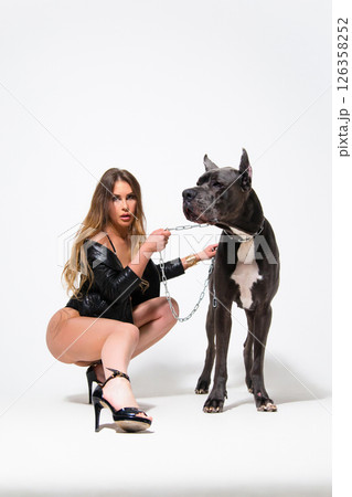 Portrait of beautiful seductive model dressed in the black lingerie and jacket with german dogge on a white background 126358252