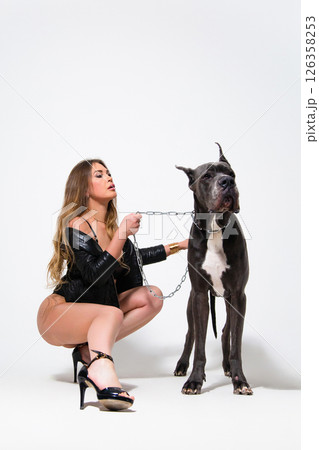 Portrait of beautiful seductive model dressed in the black lingerie and jacket with german dogge on a white background 126358253