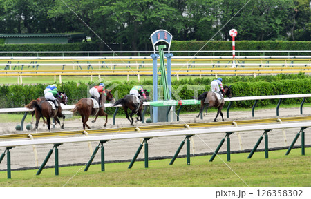 春の新潟競馬 激走の馬たち 春の新潟競馬 激走の馬たち 126358302