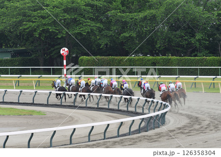 春の新潟競馬　激走の馬たち 126358304