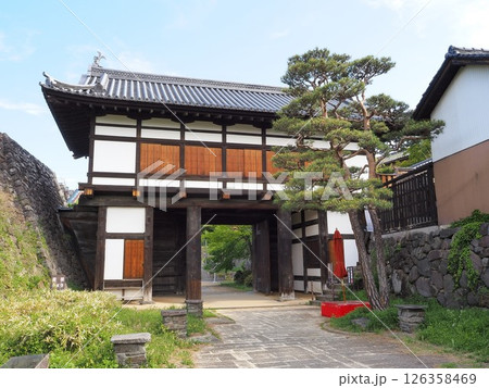 長野県　小諸城址　大手門　5月 126358469