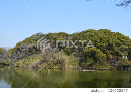 茶臼山古墳（天王寺公園／大阪市天王寺区茶臼山町） 126358847