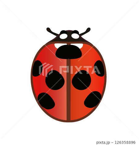 テントウ虫のイラスト 126358896