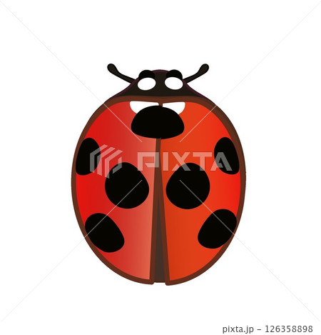 テントウ虫のイラスト 126358898