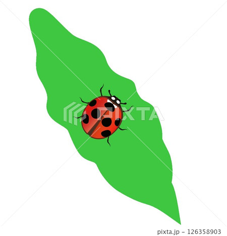 テントウ虫と葉っぱのイラスト テントウ虫と葉っぱのイラスト 126358903