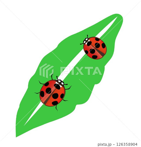 テントウ虫と葉っぱのイラスト 126358904