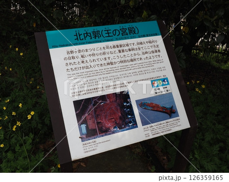 吉野ケ里遺跡の風景 126359165