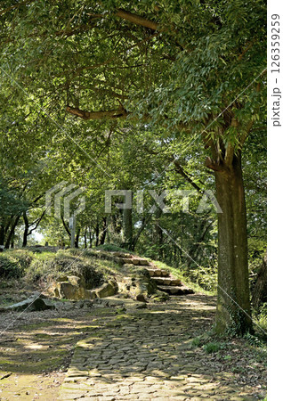 太田市散歩：金山城跡　馬場通路　太田市金山町 126359259