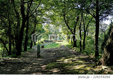 太田市散歩：金山城跡　馬場通路　物見台　太田市金山町 126359260