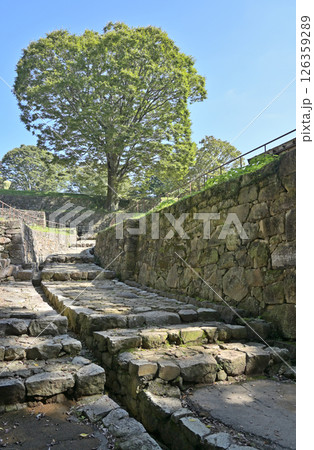 太田市散歩:金山城跡 大手虎口 曲輪 太田市金山町 太田市散歩:金山城跡 大手虎口 曲輪 太田市金山町 126359289