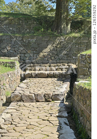 太田市散歩：金山城跡　大手虎口　曲輪　太田市金山町 126359292