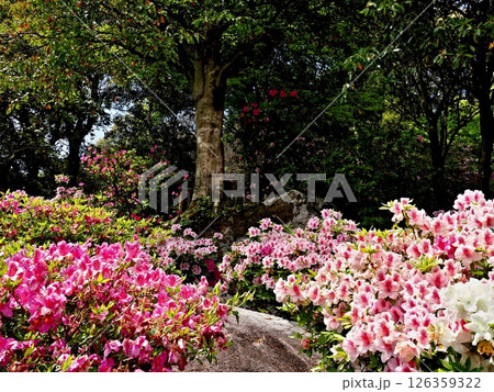 大興善寺の風景 大興善寺の風景 126359322