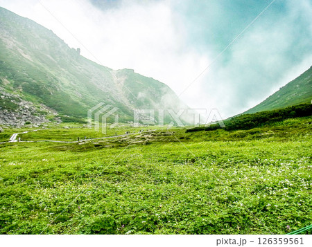 千畳敷カール 126359561