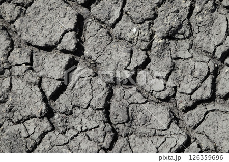 Texture of the dried black earth. 126359696