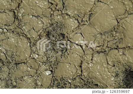 Texture of the dried earth after rain. Texture of the dried earth after rain. 126359697