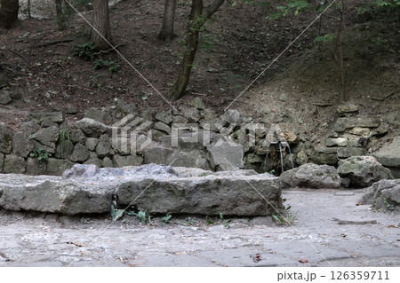 A spring among the stones in a fobulous forest. A spring among the stones in a fobulous forest. 126359711