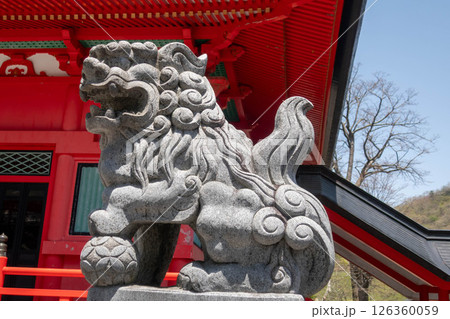 初夏の赤城山　赤城神社の狛犬 126360059