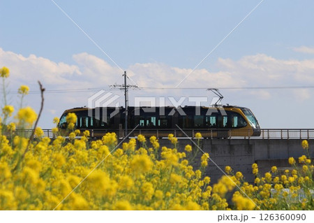 宇都宮LRT 宇都宮LRT 126360090