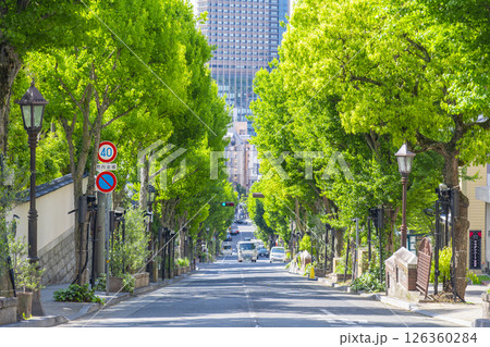 神戸北野異人館街　新緑の街路樹が美しい北野坂 126360284