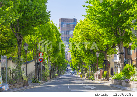 神戸北野異人館街 新緑の街路樹が美しい北野坂 神戸北野異人館街 新緑の街路樹が美しい北野坂 126360286