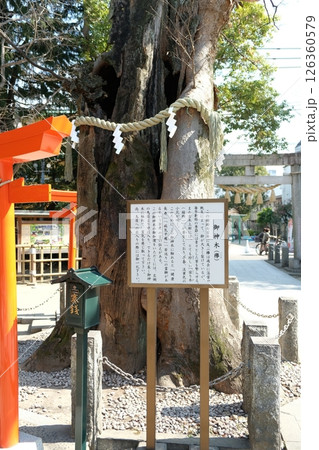 大田区矢口に鎮座する新田（にった）神社 126360579