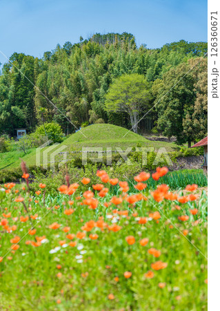 奈良県明日香村　マルコ山古墳 126360671