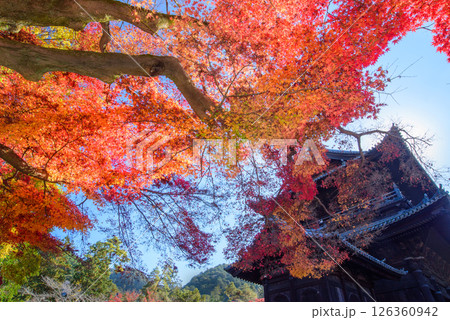 紅葉に包まれる南禅寺の三門 紅葉に包まれる南禅寺の三門 126360942