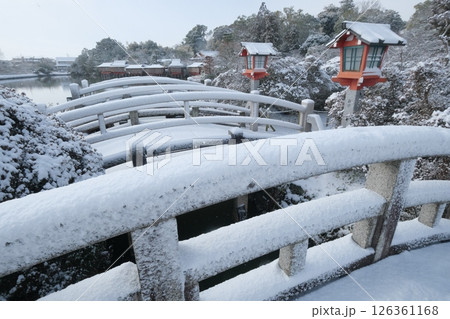 もうひとつの京都乙訓の冬の八条池 126361168