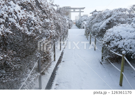 もうひとつの京都乙訓の冬の八条池 もうひとつの京都乙訓の冬の八条池 126361170