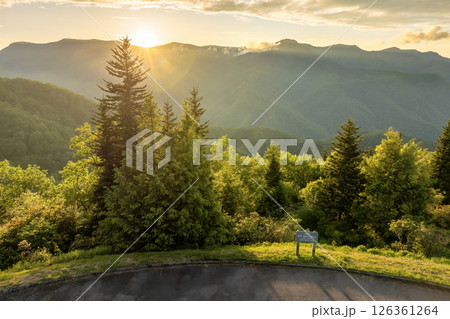 Road trip travel in Appalachian mountains at sunset. Mt. Mitchell Overlook on parkway and woods nature in summer season. Colorful forest in North Carolina 126361264