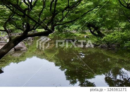 庭園の微睡 126361271