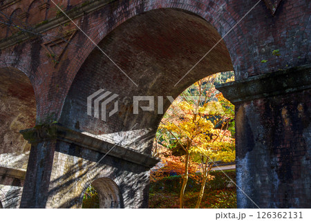水路閣のある秋の景色 水路閣のある秋の景色 126362131