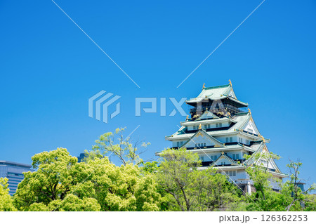 新緑の大阪城 126362253