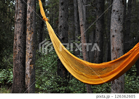 Woven Orange Hammock In A Silent Mountain Forest Woven Orange Hammock In A Silent Mountain Forest 126362605