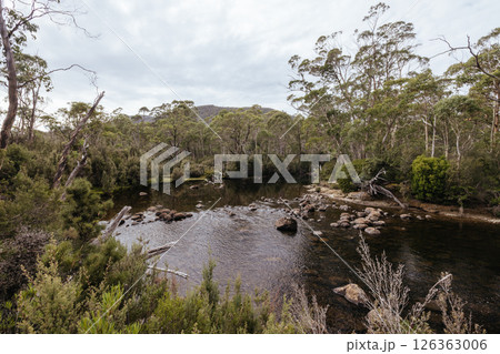 Narcissus River in Tasmania Australia 126363006