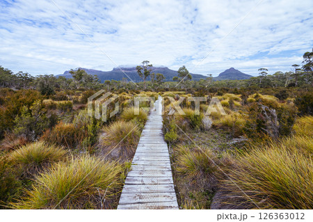 Overland Track Landscape in Tasmania Australia 126363012