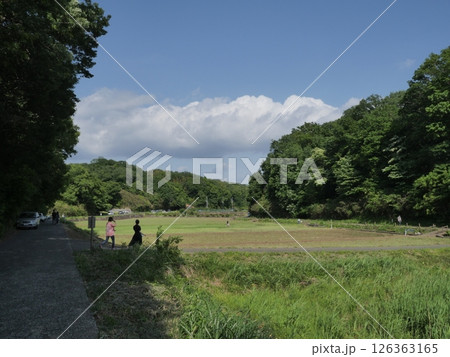 新緑の寺家ふるさと村 新緑の寺家ふるさと村 126363165