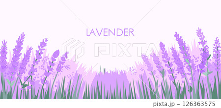 Lavender field. Bright vector summer poster Lavender field. Bright vector summer poster 126363575