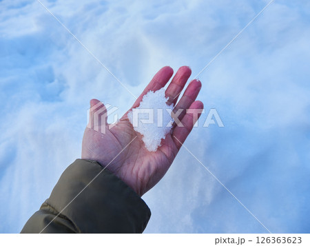 冬の野原の積雪を触る人の手の様子 126363623