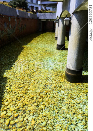 台湾、蘇澳の阿里史冷泉 126363781