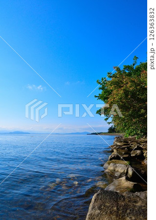 琵琶湖 源氏浜(滋賀県) 琵琶湖 源氏浜(滋賀県) 126363832