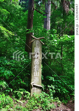 賤ケ岳リフト（滋賀県） 126364047