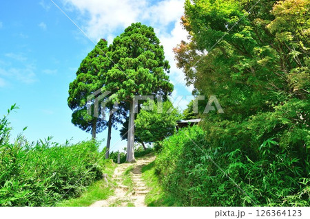 賤ケ岳登山道（滋賀県） 126364123