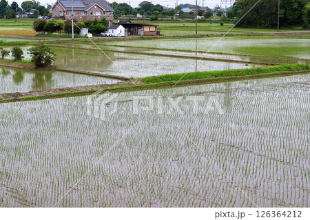水田の風景 126364212