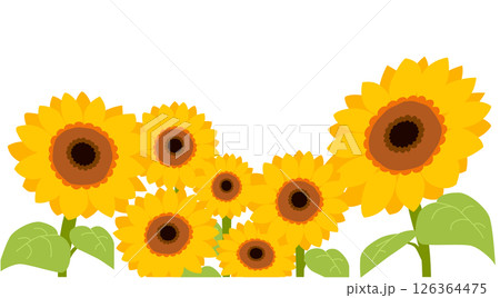 ひまわりが上を向いているベクターイラスト ひまわりが上を向いているベクターイラスト 126364475