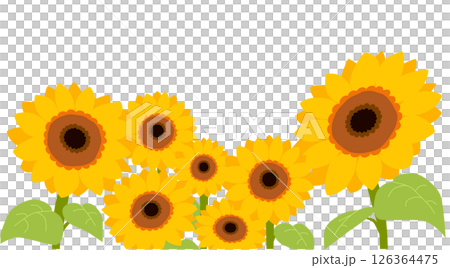 ひまわりが上を向いているベクターイラスト ひまわりが上を向いているベクターイラスト 126364475