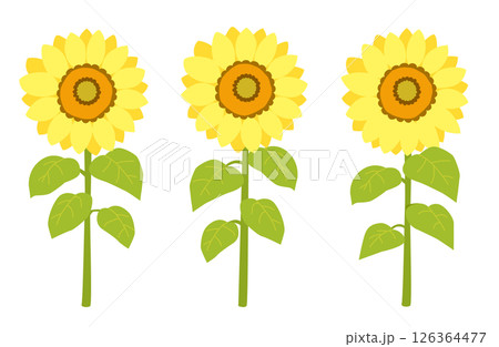 パステルカラーのひまわりのベクターイラスト パステルカラーのひまわりのベクターイラスト 126364477