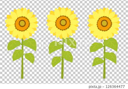 パステルカラーのひまわりのベクターイラスト パステルカラーのひまわりのベクターイラスト 126364477